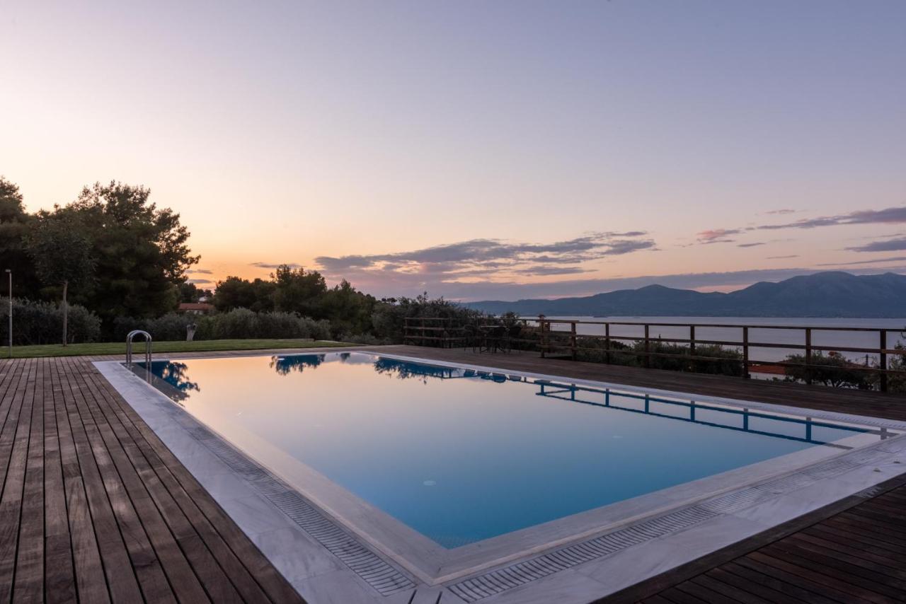 Villa Kalamos / Sea View And Pool Nearby Athens Екстер'єр фото