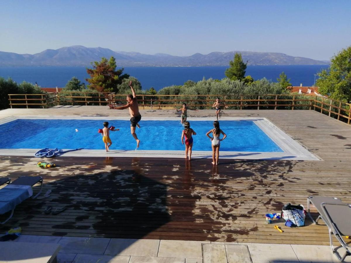 Villa Kalamos / Sea View And Pool Nearby Athens Екстер'єр фото