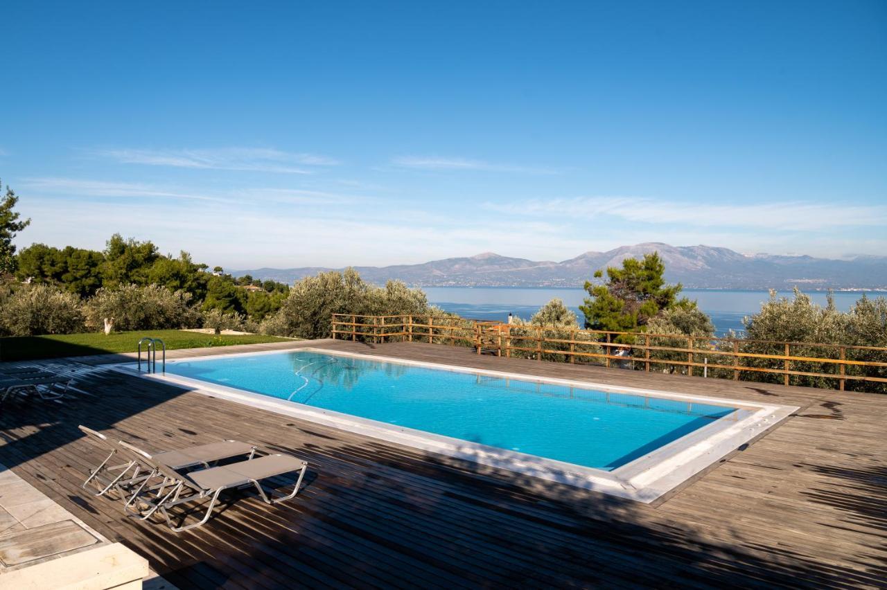 Villa Kalamos / Sea View And Pool Nearby Athens Екстер'єр фото