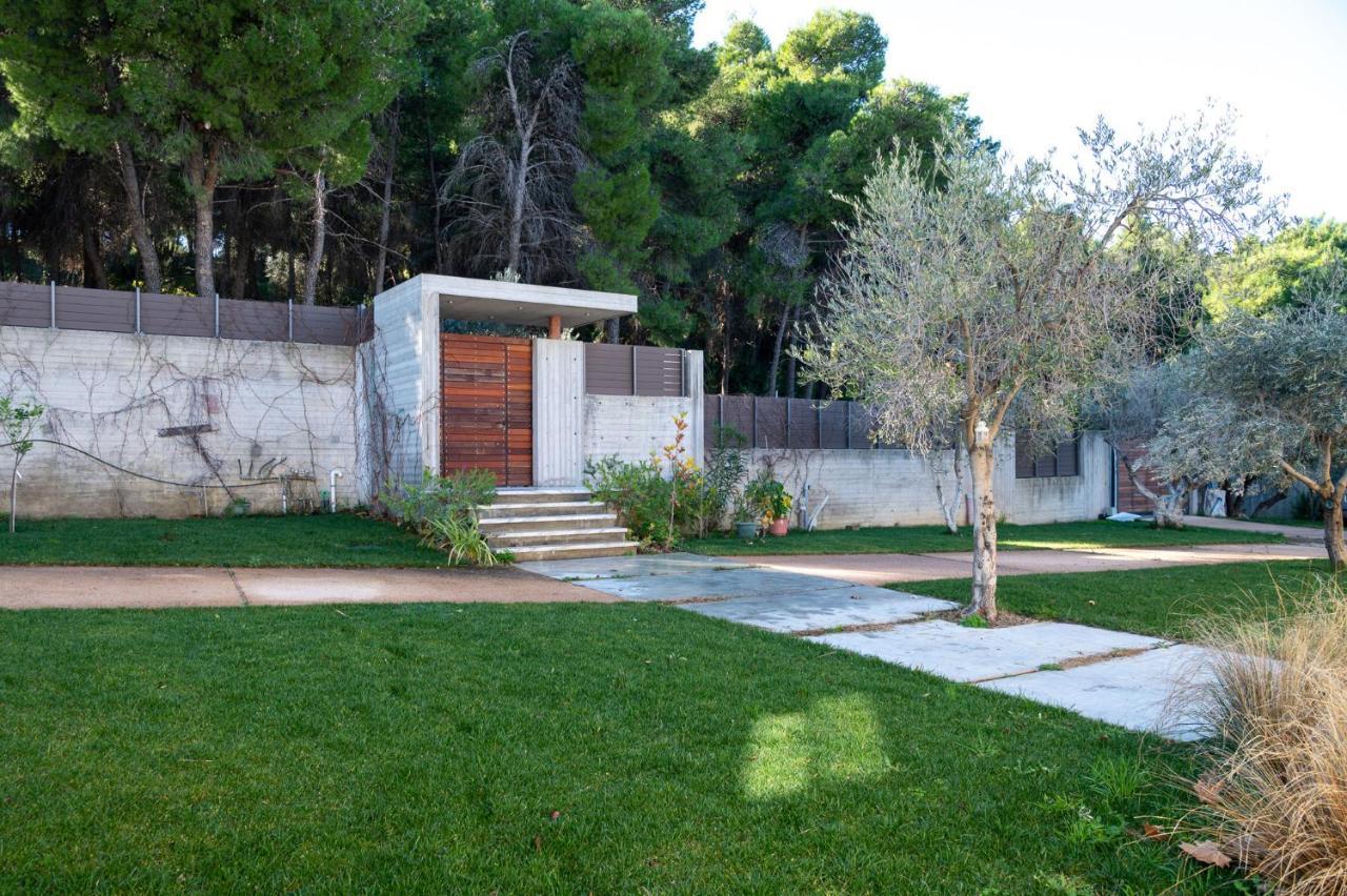 Villa Kalamos / Sea View And Pool Nearby Athens Екстер'єр фото