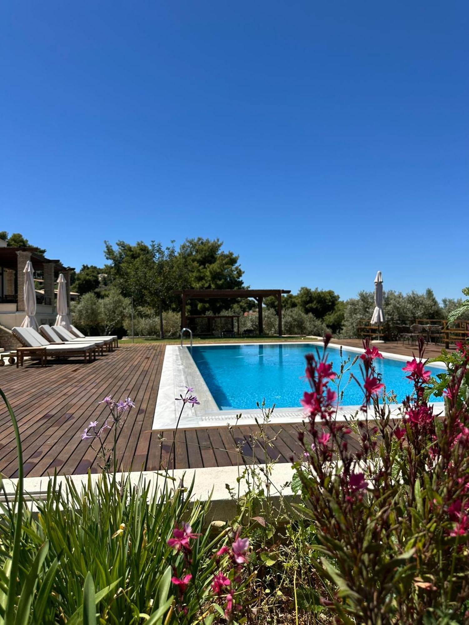 Villa Kalamos / Sea View And Pool Nearby Athens Екстер'єр фото
